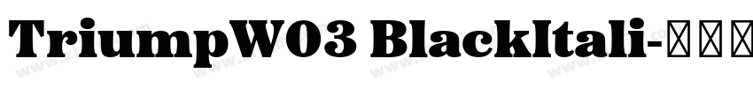 TriumpW03 BlackItali字体转换